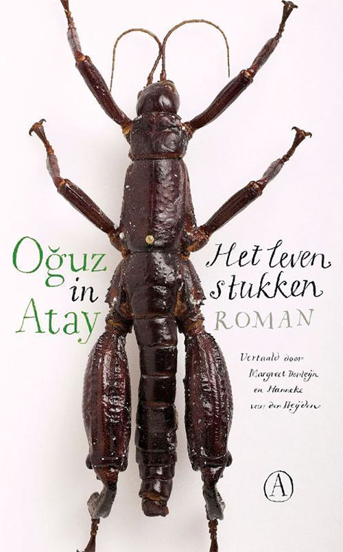 Oğuz Atay - Het leven in stukken